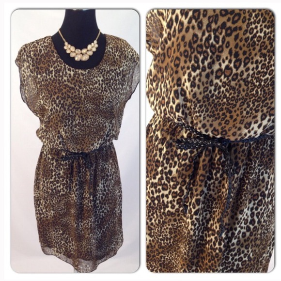En Focus Tiger Animal Print Dress - Picture 3 of 3